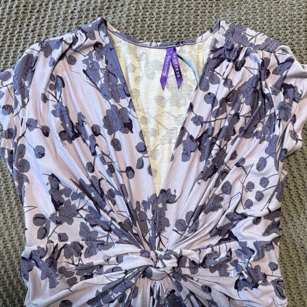 Seraphine Maternity Dress